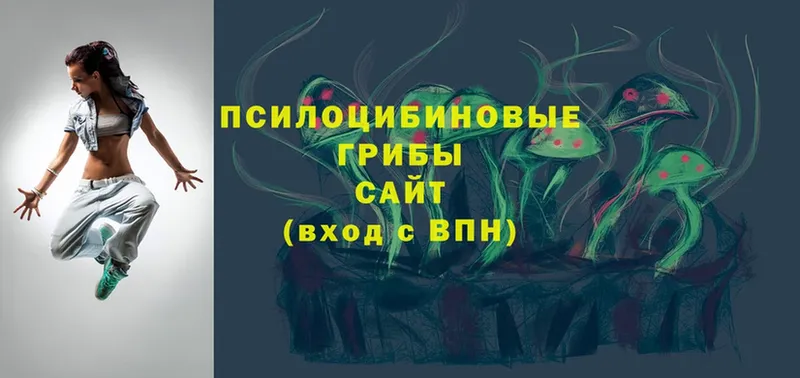 Псилоцибиновые грибы MAGIC MUSHROOMS  Берёзовский 